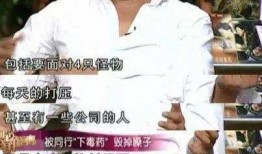 香港娱乐记者爆料王杰,揭秘其不为人知的背后故事！”